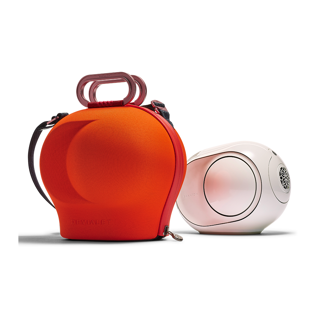 Cocoon Case for Phantom II