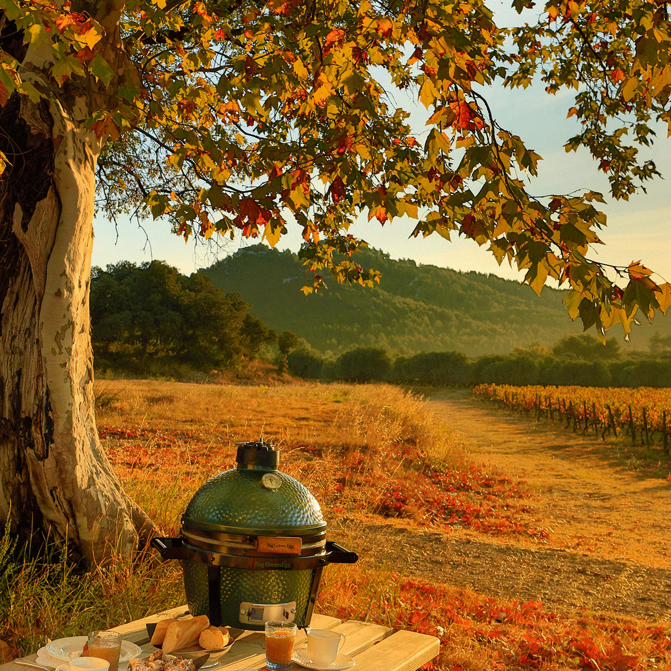 MiniMax Big Green Egg Kamado Barbekü