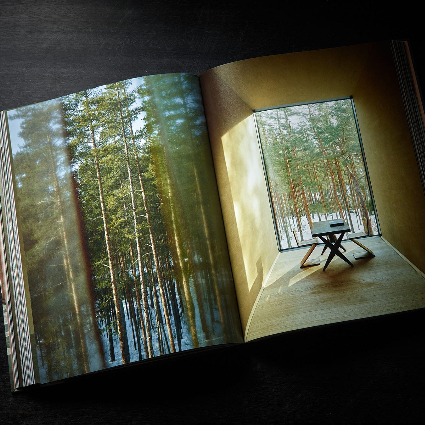 アート・デザイン・音楽 Axel Vervoordt Portraits of Interiors Axel Vervoordt: Portraits of Interiors - Flammarion | JUSTSTANDART