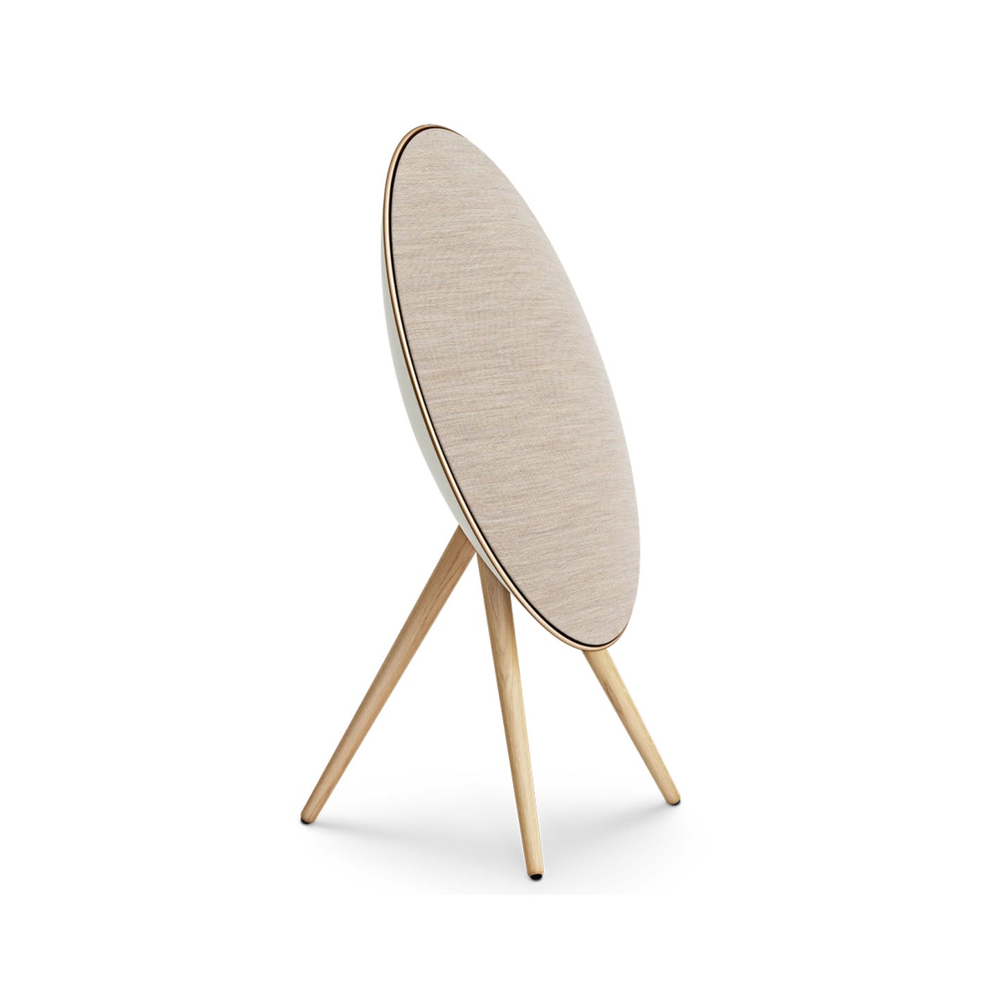Bang & Olufsen Beosound A9 Kablosuz Multiroom Speaker | JUSTSTANDART