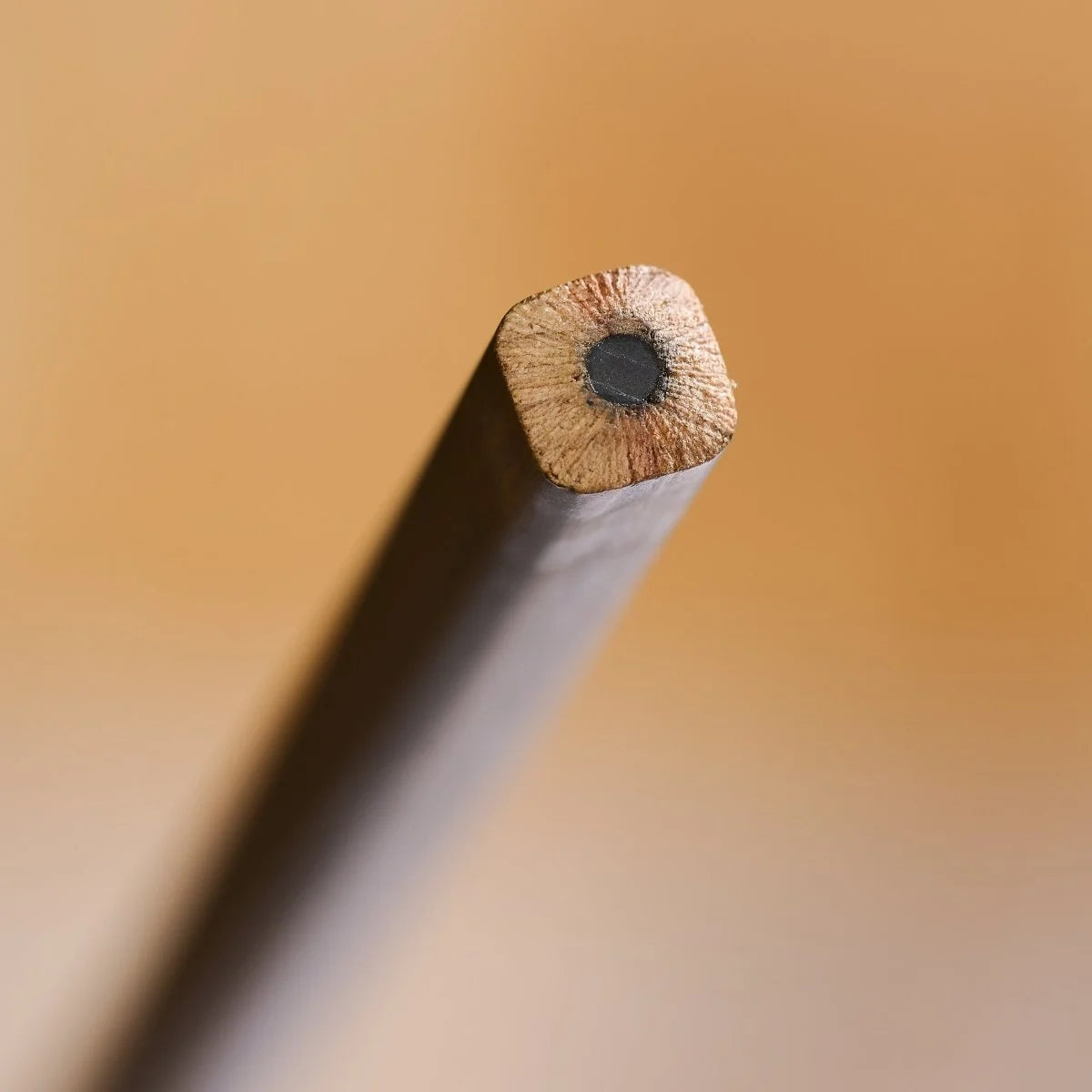 Blackwing Volume 21 Marangoz Kalemi 12'li Set