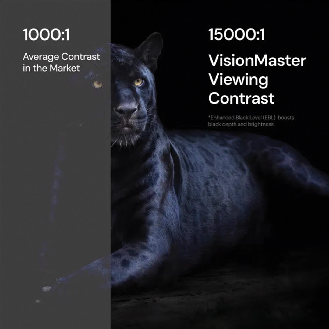 VisionMaster Pro 2 Projektör