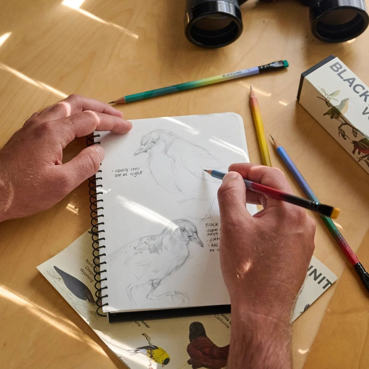 Blackwing Volume 458 12'li Kurşun Kalem Seti