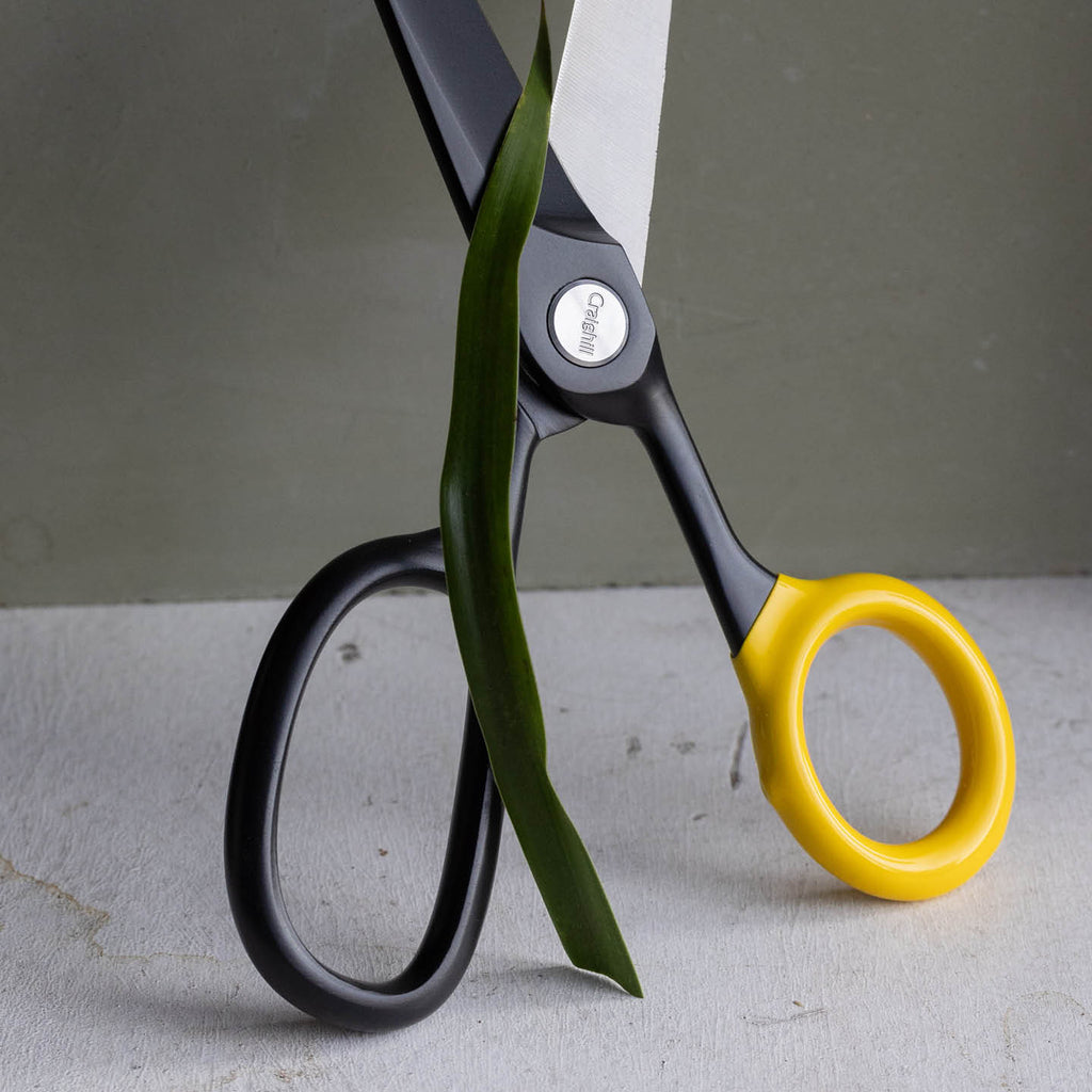 Chroma Scissors