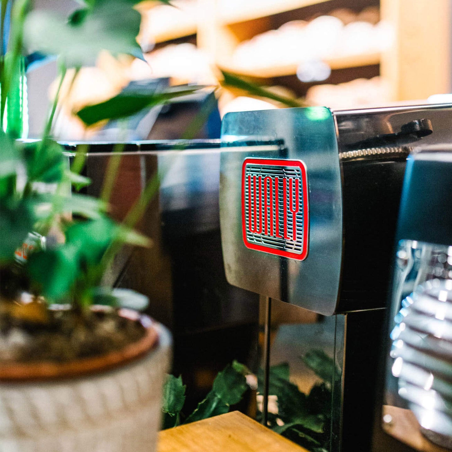 Wally Otomatik Süt Köpürtücü