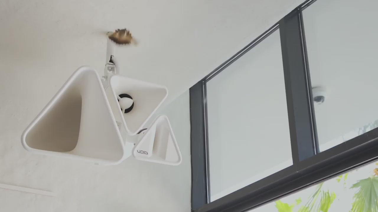 Videoyu yükle: 